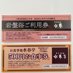 水春の岩盤浴チケット&お食事券