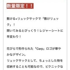 敷けリュックの画像