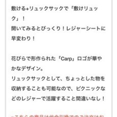 敷けリュックの画像