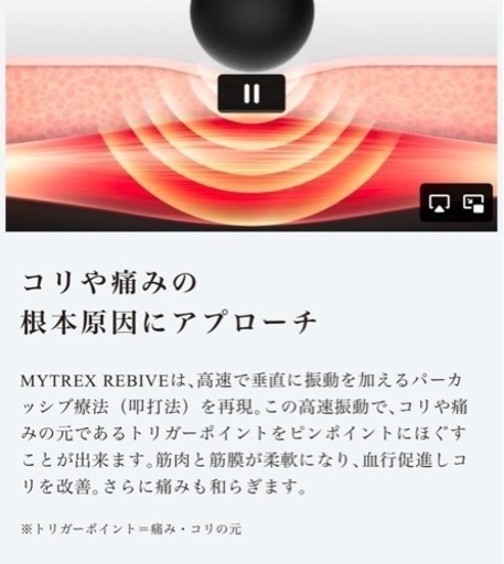 マイトレックス REBIVE