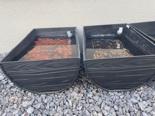 樽型18L(オーバーフロー加工)＋網蓋付き メダカ飼育容器 ビオトープ 新