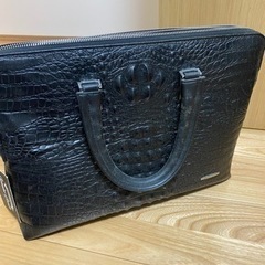 クロコダイル調の画像