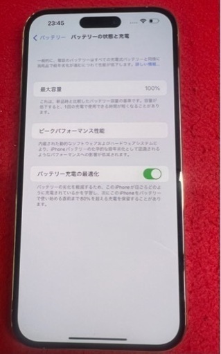 iPhone14 Pro Max 1TB バッテリー100%