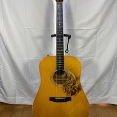 アコースティックギター　morris