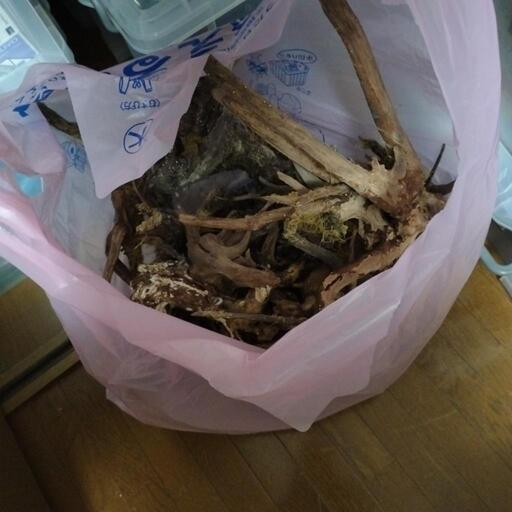 流木 アクアリウム ※値下げ交渉可能