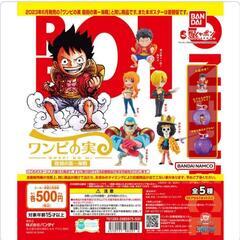 ワンピの実  ワンピース  ナミ  フランキー