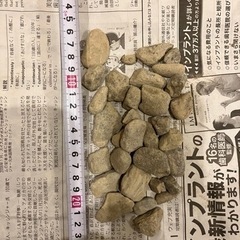 砂利20kg✖️13袋の画像