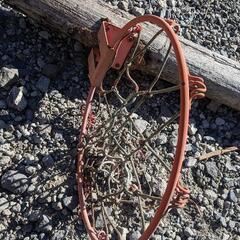 バスケットボール　ゴールの画像