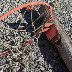 バスケットボール　ゴールの画像