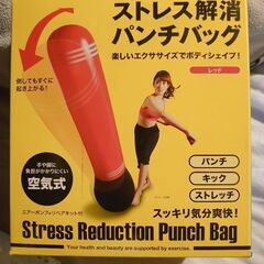 【未使用・未開封】パンチバッグ