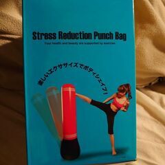 【未使用・未開封】パンチバッグの画像