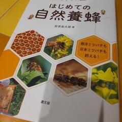 はじめての自然養蜂 