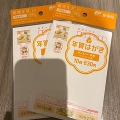 【お値下げ・新品・未開封】2024表面ディズニー 裏面無地 イン...