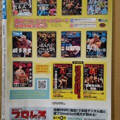 週刊プロレス増刊　2022年9月2日号　No.2099 新日本プロレスリング　G1クライマックス　内藤哲也 オスプレイ　棚橋弘至　オカダカズチカの画像