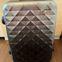 （値下げしました！）Braniff/ブラニフ スーツケース フレ...