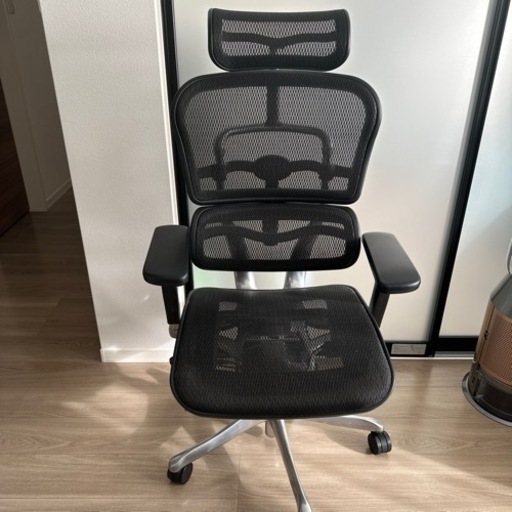 エルゴヒューマンPro NF1811-001579 美品