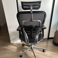 エルゴヒューマンPro NF1811-001579 美品の画像