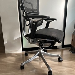 エルゴヒューマンPro NF1811-001579 美品の画像