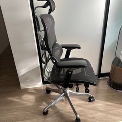エルゴヒューマンPro NF1811-001579 美品の画像