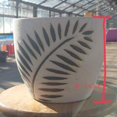 完売🙇🐟メダカ、金魚鉢🐟未使用品✨室内、玄関、庭先にもオシャレなデザインでオススメ❗の画像