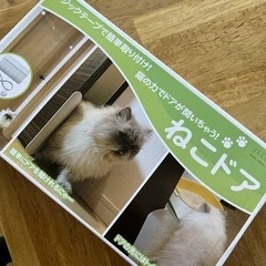 値下げ‼️キャットタワーの画像