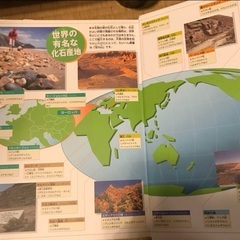 大小学館の図鑑ネオ　むかしの生物の画像