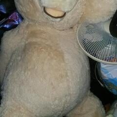 くまのぬいぐるみ  