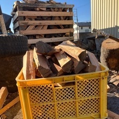 薪　採集コンテナ　詰め放題