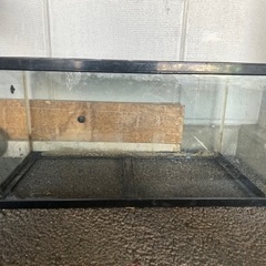 90cm水槽　