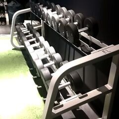 BULL ラック付ダンベル32〜50キロセット