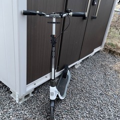 GLOBBER ONE-NL205デラックス　ホワイトの画像