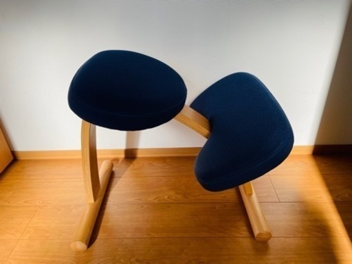 [取引中] バランスチェア　バランス イージー サカモトハウス