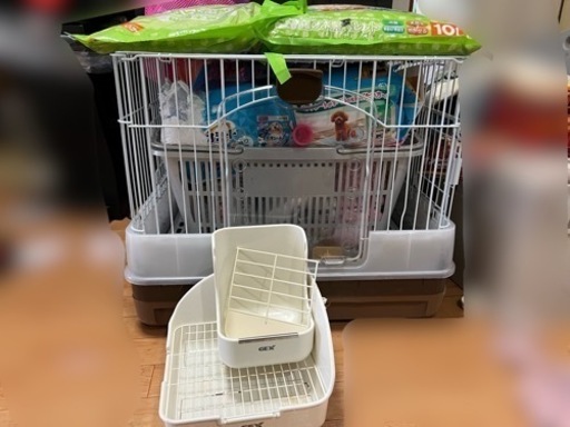 モルモット・ウサギ 飼育フルセット