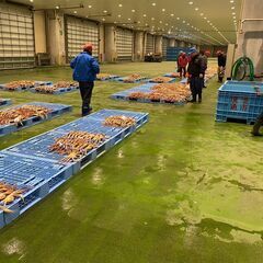 境港直送スーパーでは絶対に買えない松葉ガニ（ズワイガニ）の画像