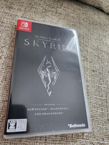 スカイリム　SKYRIM　スイッチ　switch　Switch