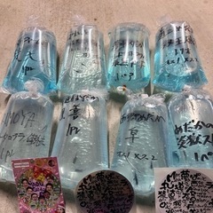 【湊都めだか】超最新品種　ラメ王風雅、和墨黒虎、クレパトシアンRLFの有精卵販売の画像