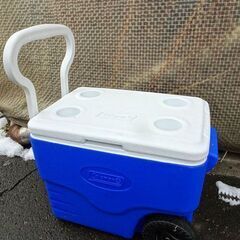 【Coleman/コールマン】クーラーボックス ■6238 62...