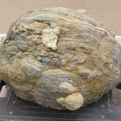 美石　鑑賞石 水晶 2.8kg クォーツ 原石 鑑賞石 自然石 誕生石 宝石 鉱物 鉱石