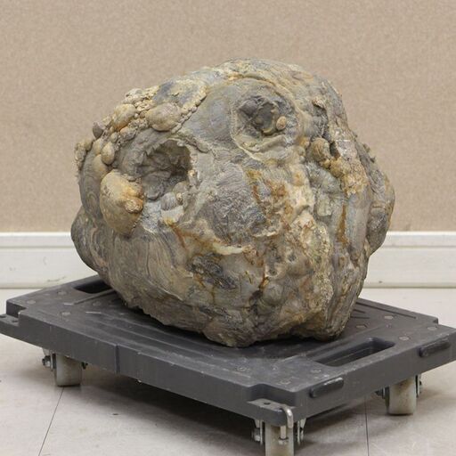 水石 「千仏石」 盆石 天然石 観賞石 姿石 すいせき 台座付き