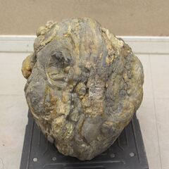 鑑賞石 流紋岩 約25㎏ 原石 飾石 水石 天然石 (R2352nxY)