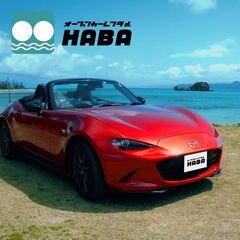 観光向けレンタカーショップスタッフ／業務拡大を視野にスタッフ大募...