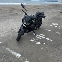 z250