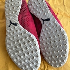 スパイクレスゴルフシューズ　プーマ　24.5-25cmの画像