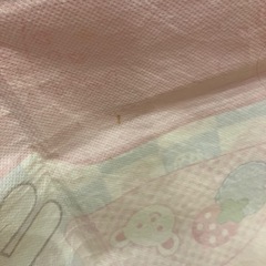 メルちゃん クマちゃん回転寿司の画像