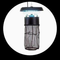SURE 捕虫器 屋内用