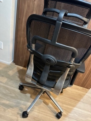 ergo human basic