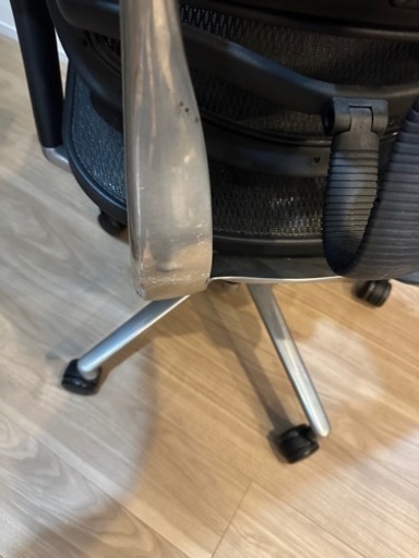 ergo human basic