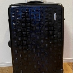 【破損あり要確認】サムソナイト Samsonite  [Graviton Light Spinner (グラヴィトン ライト スピナー) 4～7泊 83Lの画像