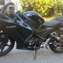 CBR250R MC41後期 軽整備済みの画像