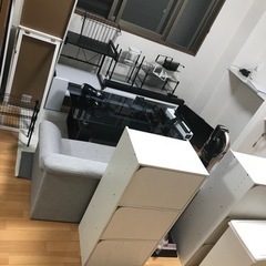 【急募】引き取り募集